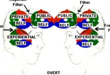 system justification